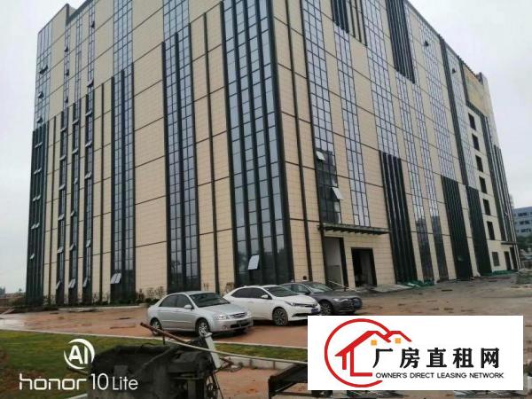  东莞长安新出带红本独门独院高新产业园总面积50000平可分租