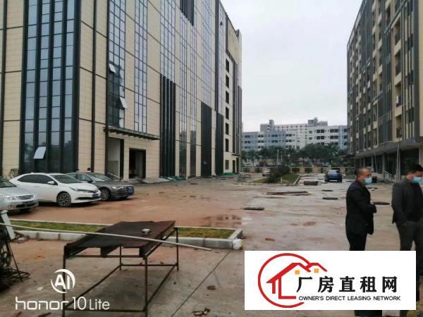  东莞长安新出带红本独门独院高新产业园总面积50000平可分租