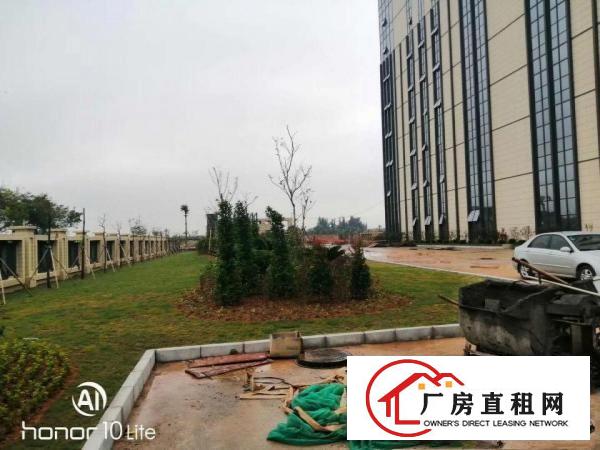  东莞长安新出带红本独门独院高新产业园总面积50000平可分租