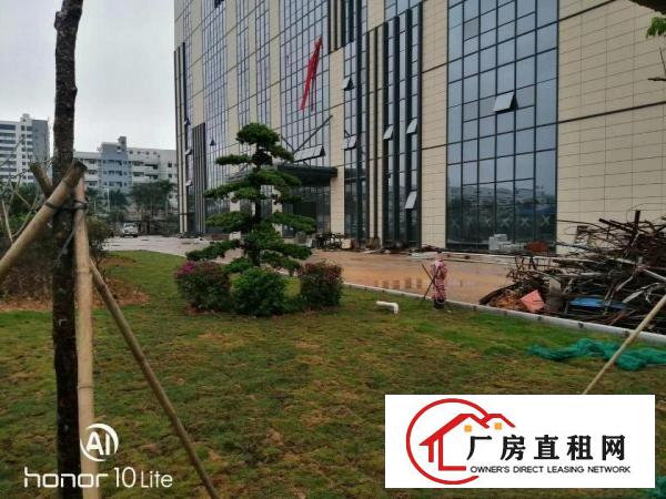  东莞长安新出带红本独门独院高新产业园总面积50000平可分租