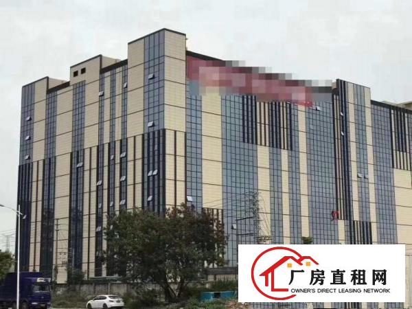  东莞长安新出带红本独门独院高新产业园总面积50000平可分租