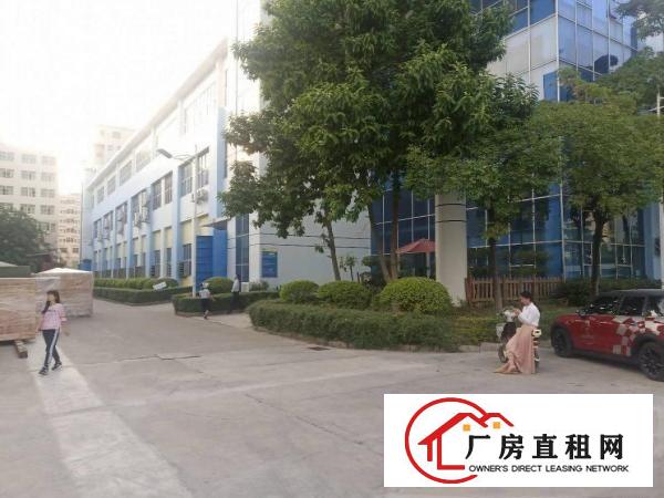  长安镇锦厦带豪华装修3楼1700平方火爆招租，无转让费