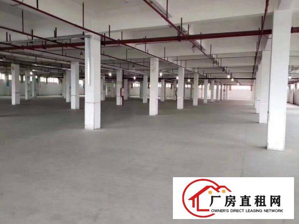  长安镇沿江高速路囗大面积原房东厂房9000平