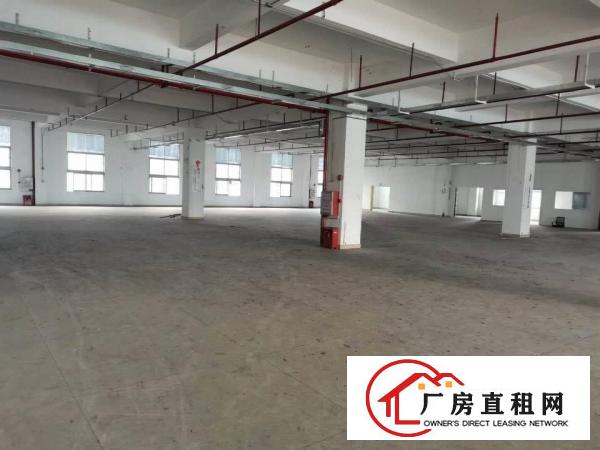  长安乌沙新出4800平方独门独院厂房出租可分层租
