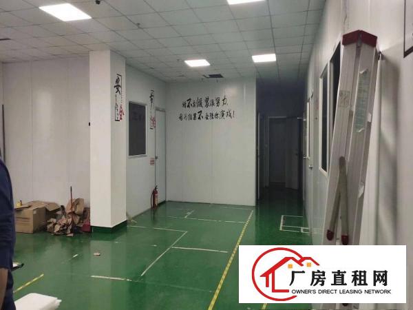  锦夏新出二楼带无尘车间800平方米厂房出租