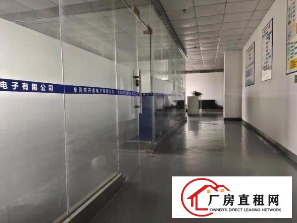  长安沙头沙区，新出楼上1000平带精装修办公室，车间水电齐全