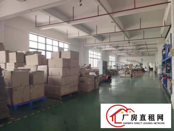  长安沙头沙区，新出楼上1000平带精装修办公室，车间水电齐全