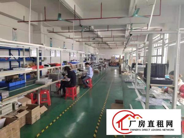  长安沙头沙区，新出楼上1000平带精装修办公室，车间水电齐全