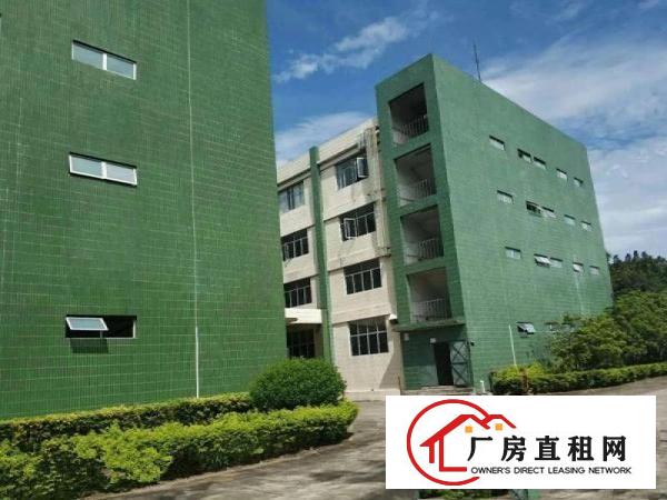  厦岗新出二楼带装修水电到位550平方米厂房出租