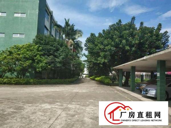 厦岗新出二楼带装修水电到位550平方米厂房出租
