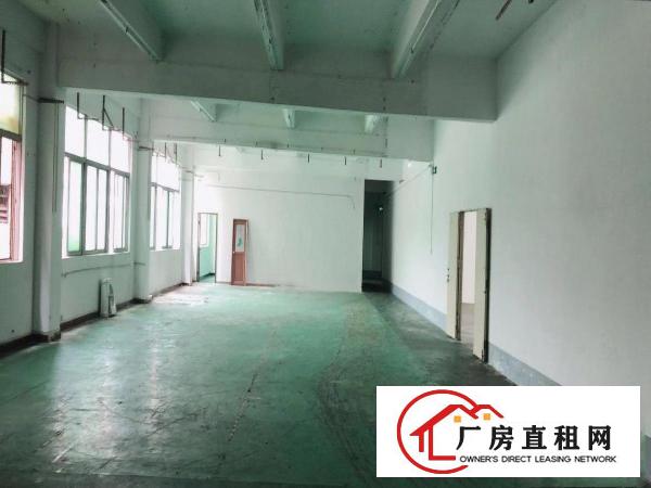  长安厦边成熟工业园新出单层1900平豪华装修