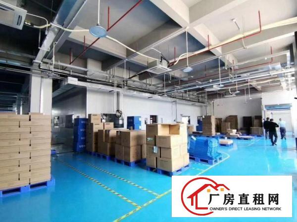 口罩电子烟长安乌沙原房东红本厂房3000平可分租