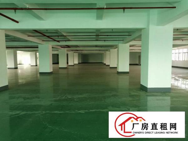  长安镇沙头全新装修厂房5楼2600平方超低价出租，无公摊
