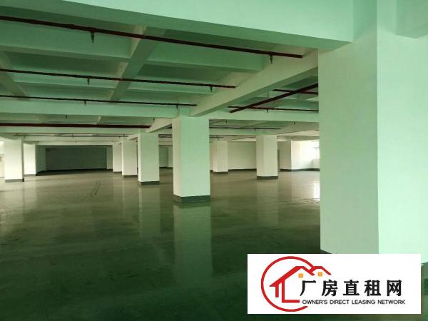  长安镇沙头全新装修厂房5楼2600平方超低价出租，无公摊