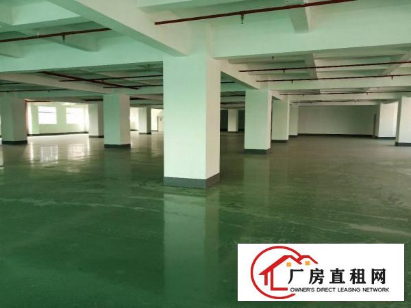  长安镇沙头全新装修厂房5楼2600平方超低价出租，无公摊