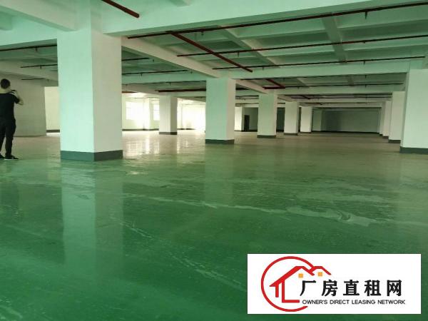  长安镇沙头全新装修厂房5楼2600平方超低价出租，无公摊
