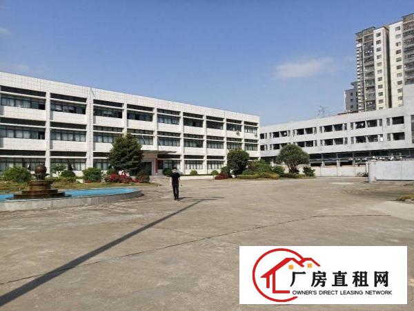  长安镇沙头全新装修厂房5楼2600平方超低价出租，无公摊
