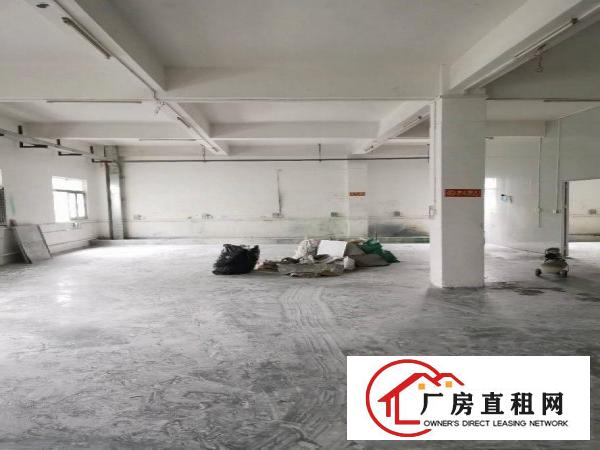  锦厦新出带装修小面积厂房