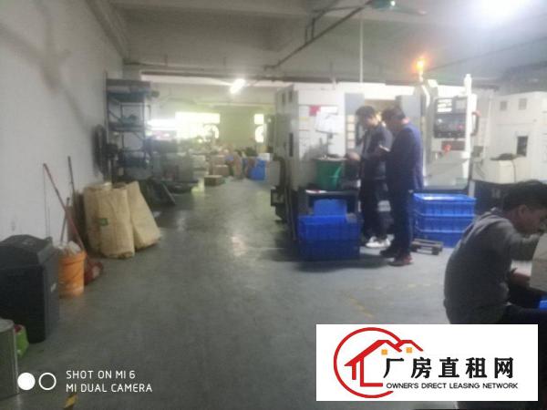  原房东长安沙头800平厂房出租可分租不堵车交通好