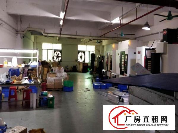  原房东长安沙头800平厂房出租可分租不堵车交通好