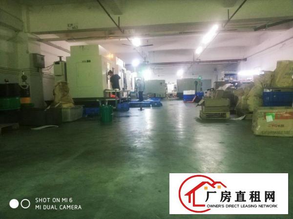  原房东长安沙头800平厂房出租可分租不堵车交通好