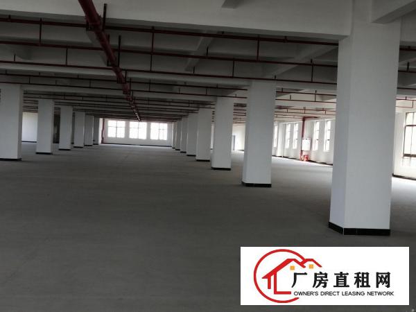  长安全新楼上1900平厂房招租证件齐全形象好