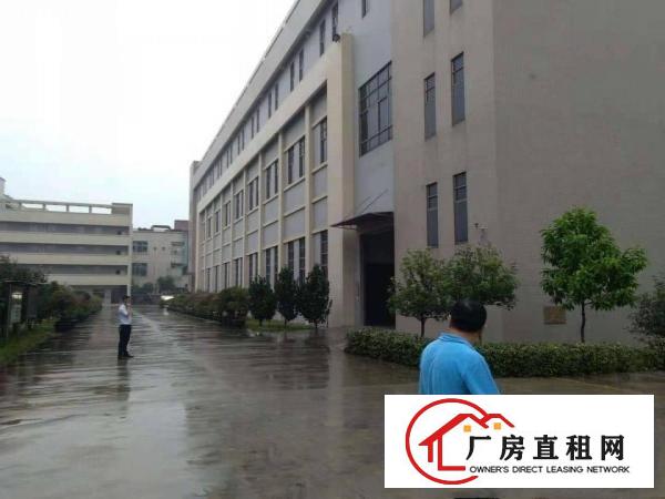  长安乌沙原房东楼上5500平每层厂房出租电商仓库出租分租