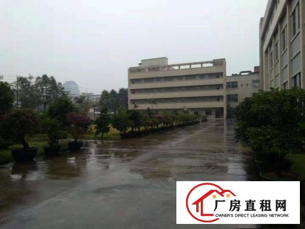 长安乌沙原房东楼上5500平每层厂房出租电商仓库出租分租