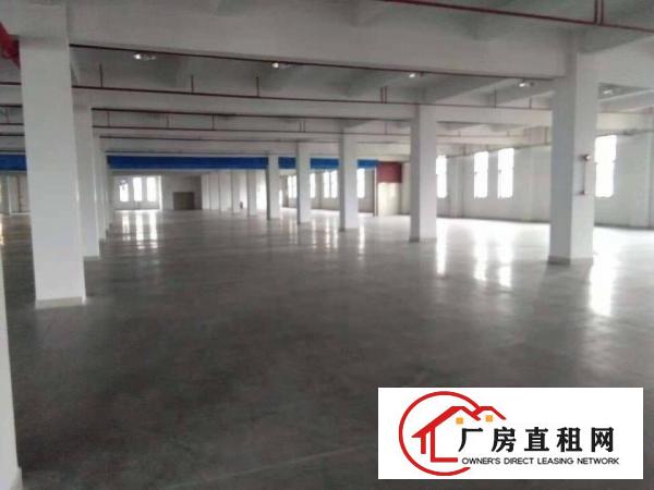  长安乌沙原房东楼上5500平每层厂房出租电商仓库出租分租