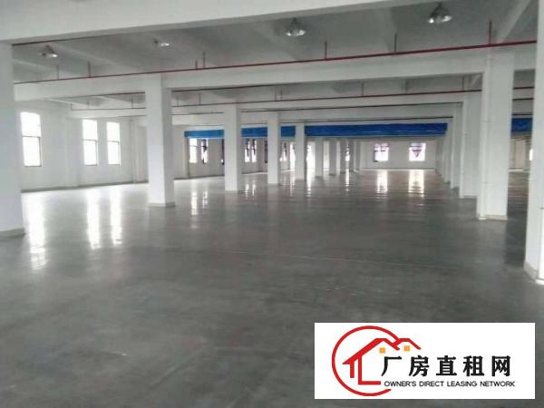  长安乌沙原房东楼上5500平每层厂房出租电商仓库出租分租
