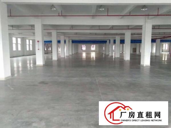  长安乌沙原房东楼上5500平每层厂房出租电商仓库出租分租