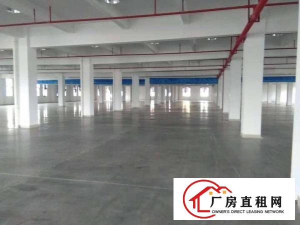  长安乌沙原房东楼上5500平每层厂房出租电商仓库出租分租
