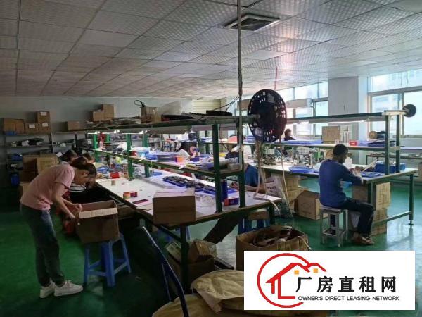  沙头新出豪华装修楼上