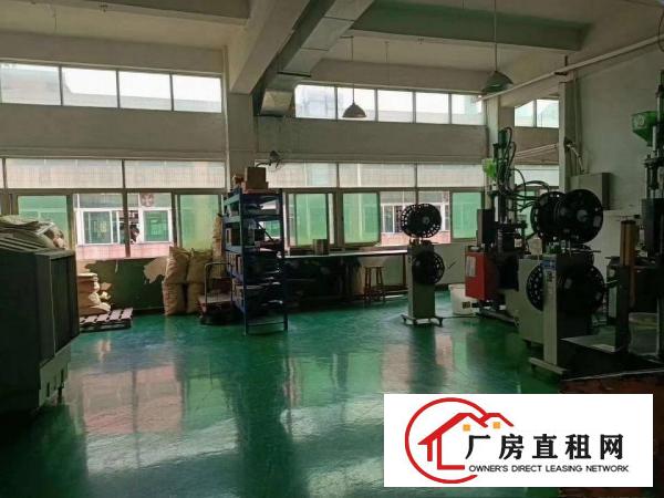  沙头新出豪华装修楼上