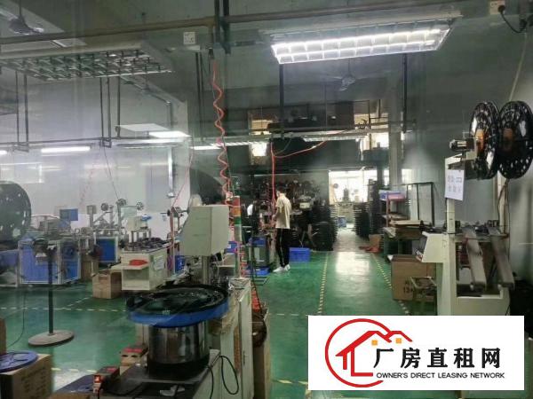  沙头新出豪华装修楼上