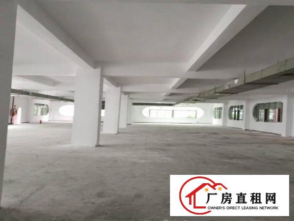  长安新出独门独院厂房招租