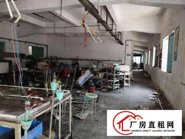  上沙即将空出原房独门独院厂房，带装修。