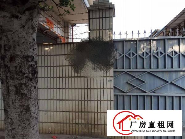  上沙即将空出原房独门独院厂房，带装修。