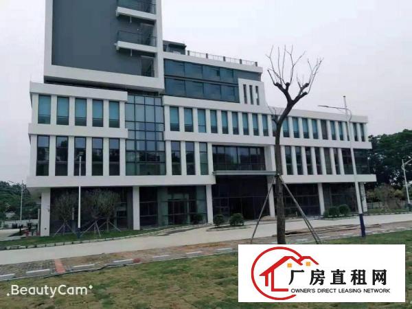  长安镇沙头29000平工业园厂房出租电商仓库出租一楼楼上分租