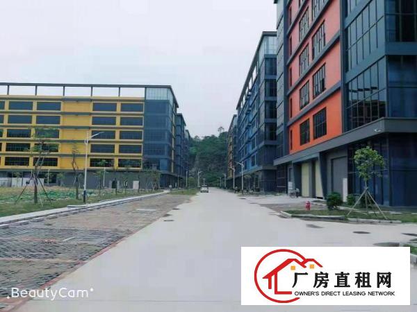  长安镇沙头29000平工业园厂房出租电商仓库出租一楼楼上分租