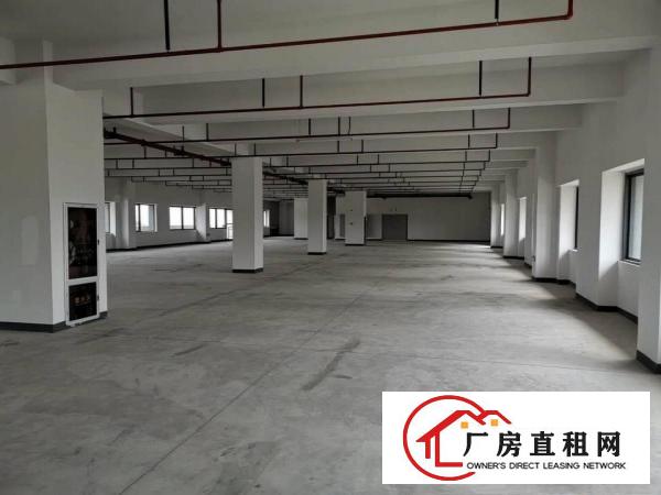  长安镇沙头29000平工业园厂房出租电商仓库出租一楼楼上分租