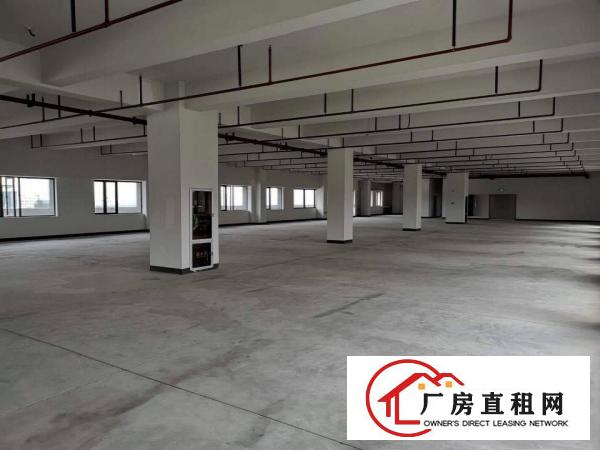  长安镇沙头29000平工业园厂房出租电商仓库出租一楼楼上分租