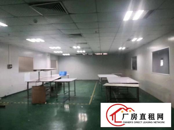  长安沙头轻轨站附近一楼1600平方精装修厂房带地坪漆，带前台