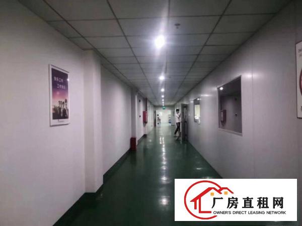  长安沙头轻轨站附近一楼1600平方精装修厂房带地坪漆，带前台
