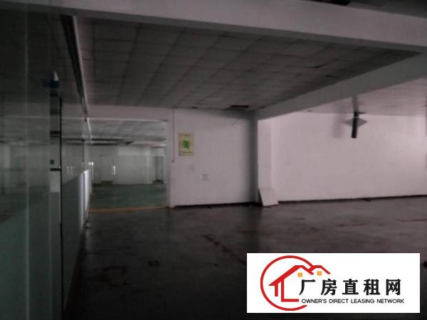  厦边新出标准厂房，带豪华办公室装修