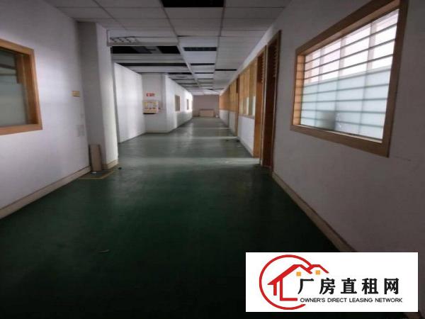  厦边新出标准厂房，带豪华办公室装修
