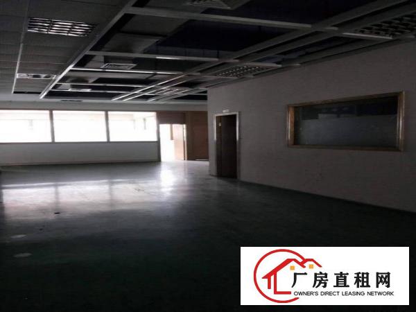  厦边新出标准厂房，带豪华办公室装修