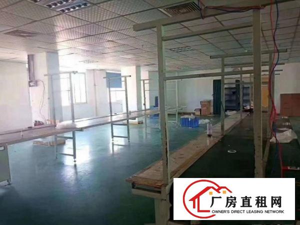  新出二楼800平，豪华装修厂房出租