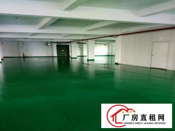  精装修小面厂房280一600平出租