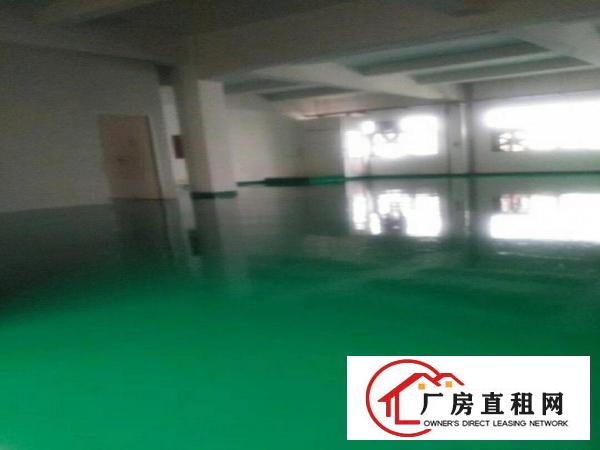  精装修小面厂房280一600平出租